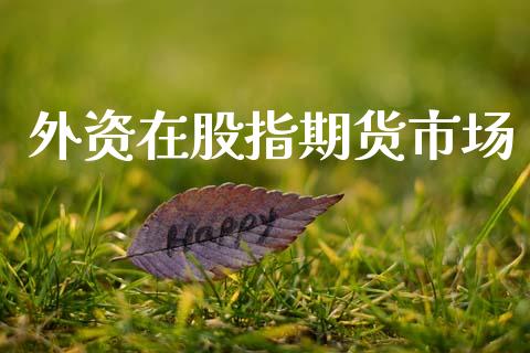 外资在股指期货市场_https://m.letulww.com_期货开户保证金_第1张