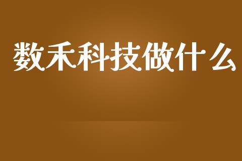 数禾科技做什么_https://m.letulww.com_股指期货交易时间_第1张