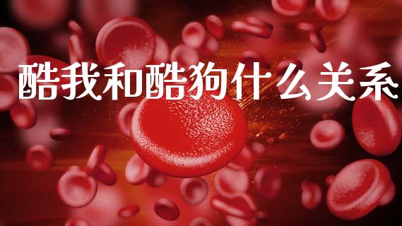 酷我和酷狗什么关系_https://m.letulww.com_期货开户保证金_第1张