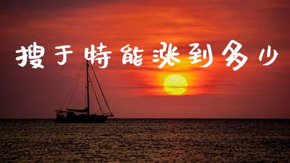 搜于特能涨到多少_https://m.letulww.com_股指期货交易时间_第1张