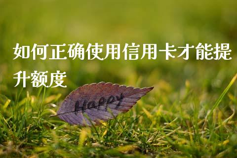 如何正确使用信用卡才能提升额度_https://m.letulww.com_期货开户保证金_第1张