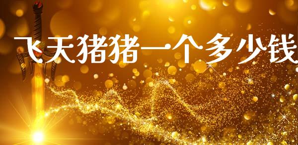 飞天猪猪一个多少钱_https://m.letulww.com_期货交易软件_第1张