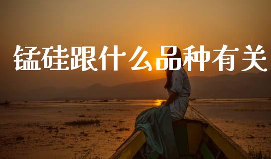 锰硅跟什么品种有关_https://m.letulww.com_期货开户保证金_第1张