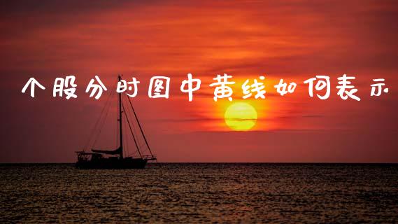 个股分时图中黄线如何表示_https://m.letulww.com_期货交易策略_第1张