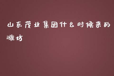 山东茂业集团什么时候来的潍坊_https://m.letulww.com_股指期货交易时间_第1张