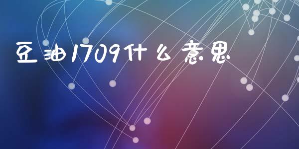 豆油1709什么意思_https://m.letulww.com_期货开户保证金_第1张