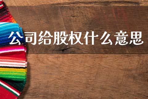 公司给股权什么意思_https://m.letulww.com_股指期货交易时间_第1张