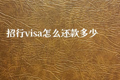 招行visa怎么还款多少_https://m.letulww.com_期货开户保证金_第1张