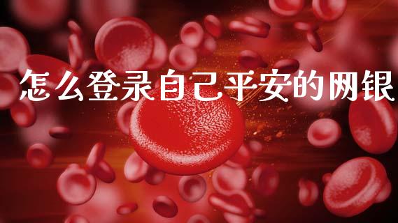怎么登录自己平安的网银_https://m.letulww.com_期货交易软件_第1张