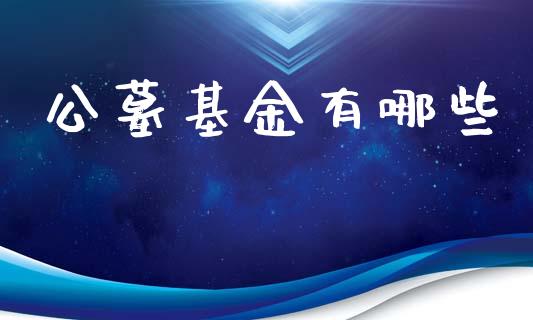公墓基金有哪些_https://m.letulww.com_期货交易软件_第1张