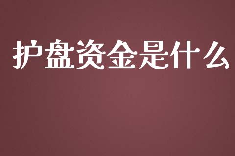 护盘资金是什么_https://m.letulww.com_期货开户保证金_第1张