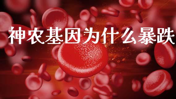 神农基因为什么暴跌_https://m.letulww.com_期货交易软件_第1张