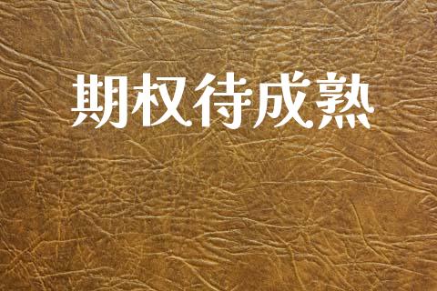 期权待成熟_https://m.letulww.com_股指期货交易时间_第1张