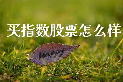 买指数股票怎么样_https://m.letulww.com_股指期货交易时间_第1张