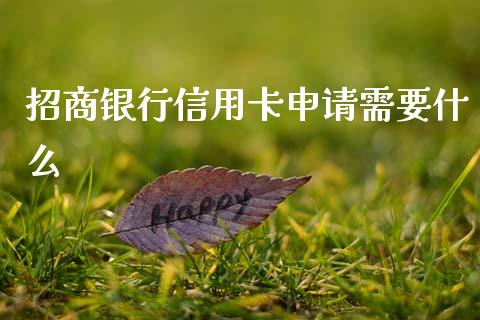 招商银行信用卡申请需要什么_https://m.letulww.com_期货交易软件_第1张