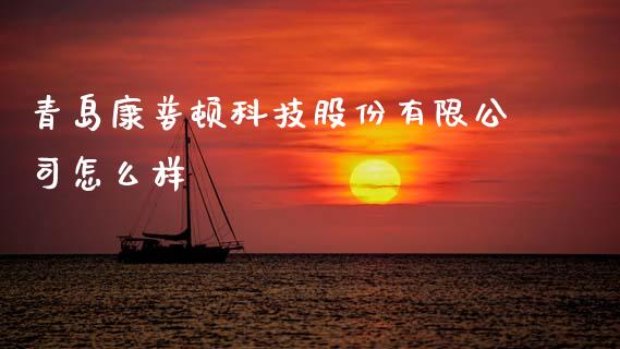 青岛康普顿科技股份有限公司怎么样_https://m.letulww.com_期货开户保证金_第1张