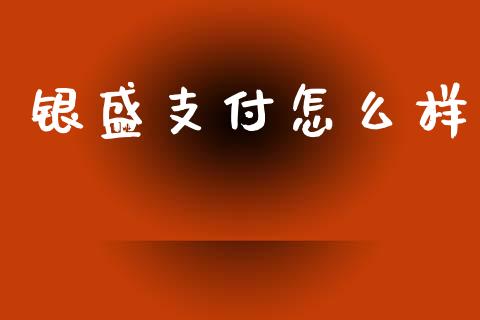 银盛支付怎么样_https://m.letulww.com_期货开户保证金_第1张