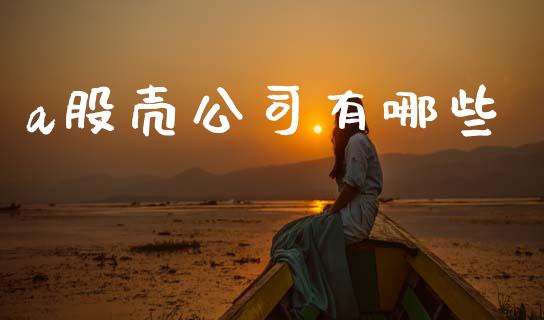 a股壳公司有哪些_https://m.letulww.com_期货交易策略_第1张