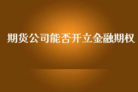 期货公司能否开立金融期权_https://m.letulww.com_期货交易策略_第1张
