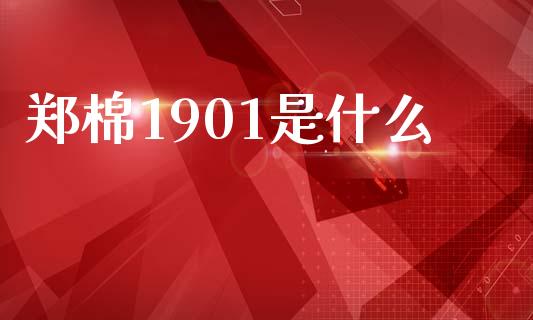 郑棉1901是什么_https://m.letulww.com_期货开户保证金_第1张