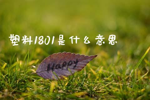 塑料1801是什么意思_https://m.letulww.com_期货交易软件_第1张