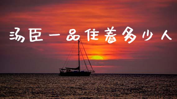 汤臣一品住着多少人_https://m.letulww.com_期货开户保证金_第1张