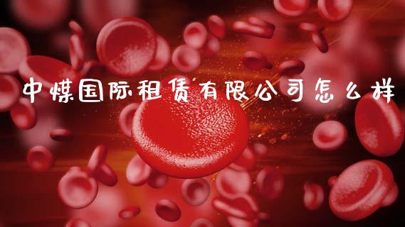 中煤国际租赁有限公司怎么样_https://m.letulww.com_期货开户保证金_第1张