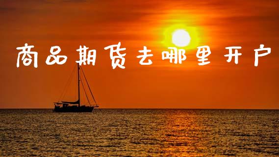 商品期货去哪里开户_https://m.letulww.com_期货开户保证金_第1张