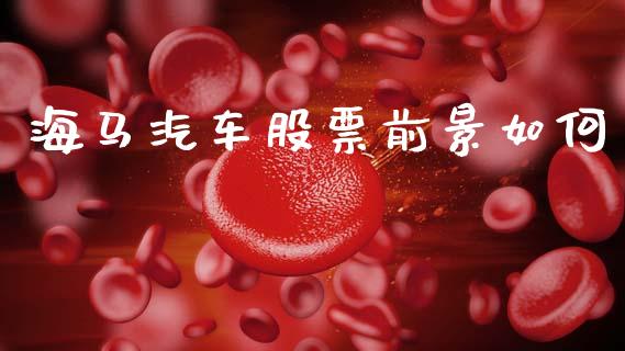 海马汽车股票前景如何_https://m.letulww.com_期货交易策略_第1张
