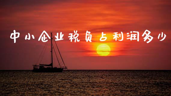 中小企业税负占利润多少_https://m.letulww.com_股指期货交易时间_第1张