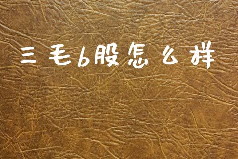 三毛b股怎么样_https://m.letulww.com_期货开户保证金_第1张