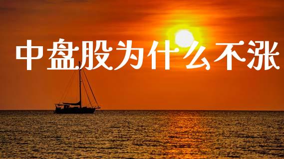 中盘股为什么不涨_https://m.letulww.com_期货交易软件_第1张