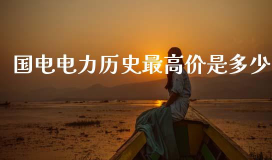 国电电力历史最高价是多少_https://m.letulww.com_期货开户保证金_第1张