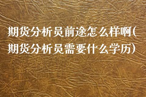 期货分析员前途怎么样啊(期货分析员需要什么学历)_https://m.letulww.com_股指期货交易时间_第1张