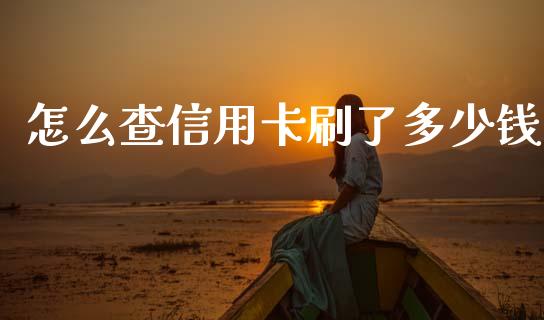 怎么查信用卡刷了多少钱_https://m.letulww.com_期货交易软件_第1张