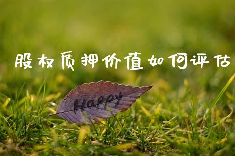 股权质押价值如何评估_https://m.letulww.com_期货交易策略_第1张