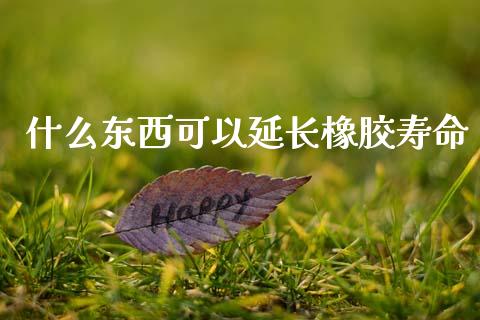 什么东西可以延长橡胶寿命_https://m.letulww.com_股指期货交易时间_第1张