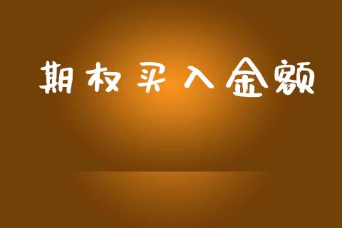 期权买入金额_https://m.letulww.com_期货开户保证金_第1张