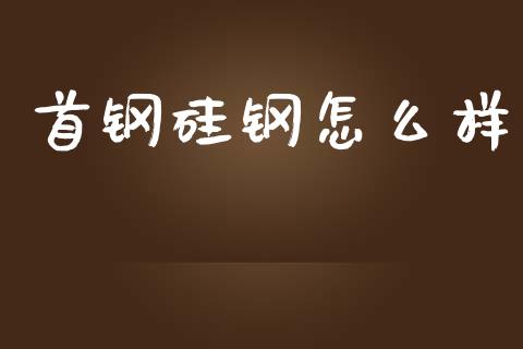 首钢硅钢怎么样_https://m.letulww.com_期货交易软件_第1张