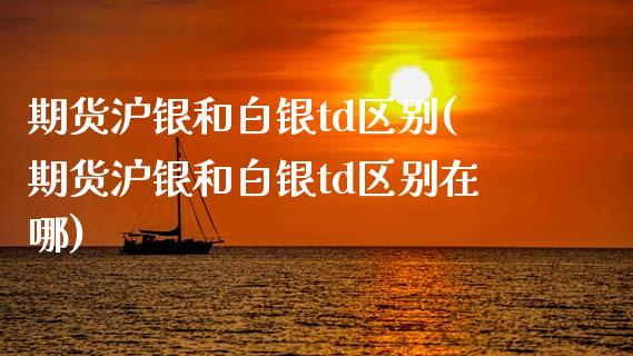 期货沪银和白银td区别(期货沪银和白银td区别在哪)_https://m.letulww.com_股指期货交易时间_第1张