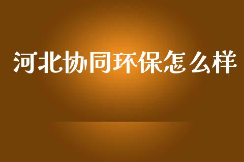 河北协同环保怎么样_https://m.letulww.com_股指期货交易时间_第1张
