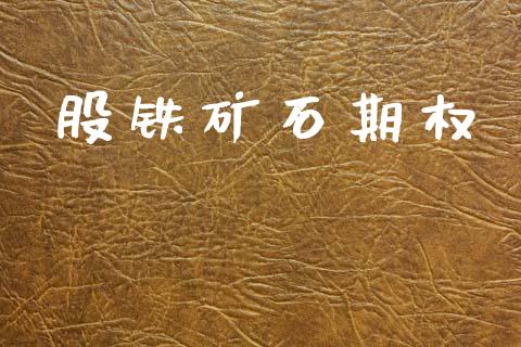 股铁矿石期权_https://m.letulww.com_期货交易软件_第1张
