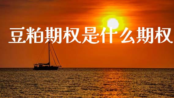 豆粕期权是什么期权_https://m.letulww.com_期货交易策略_第1张