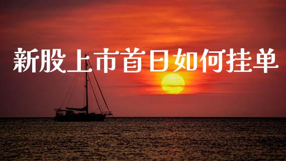新股上市首日如何挂单_https://m.letulww.com_期货开户保证金_第1张