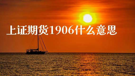 上证期货1906什么意思_https://m.letulww.com_期货开户保证金_第1张