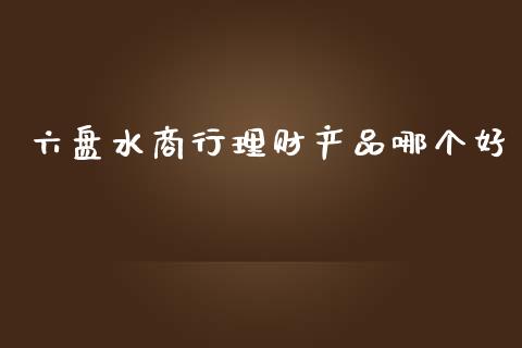 六盘水商行理财产品哪个好_https://m.letulww.com_期货开户保证金_第1张