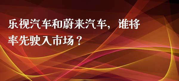 乐视汽车和蔚来汽车，谁将率先驶入市场？_https://m.letulww.com_股指期货交易时间_第1张