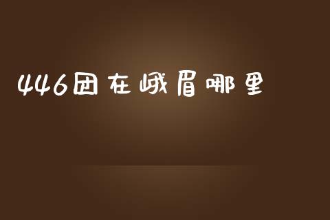 446团在峨眉哪里_https://m.letulww.com_期货交易策略_第1张