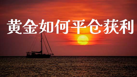 黄金如何平仓获利_https://m.letulww.com_期货交易策略_第1张