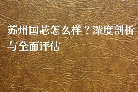 苏州国芯怎么样？深度剖析与全面评估_https://m.letulww.com_期货交易软件_第1张